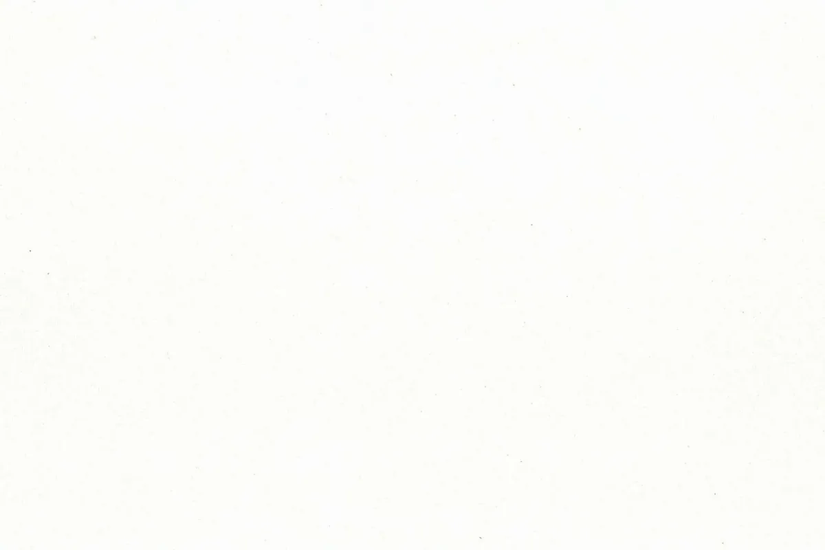 Arctic White quartz countertop
